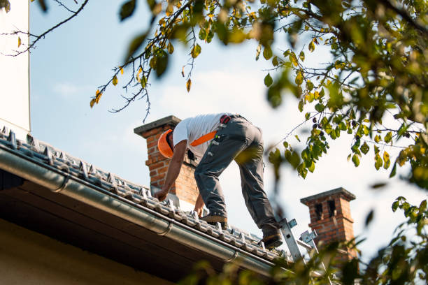Best Storm Damage Roof Repair  in Park City, MT