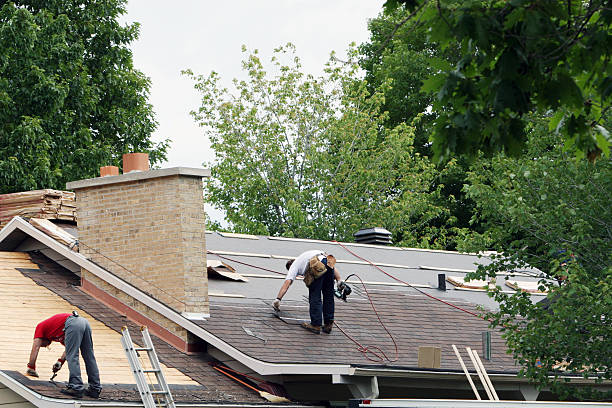 Roof Waterproofing Services in Park City, MT